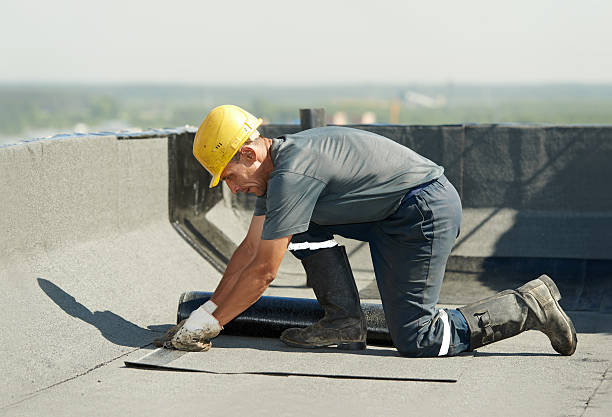 Insulation Replacement Services in Virginia, MN